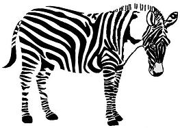 Zebrastreifen